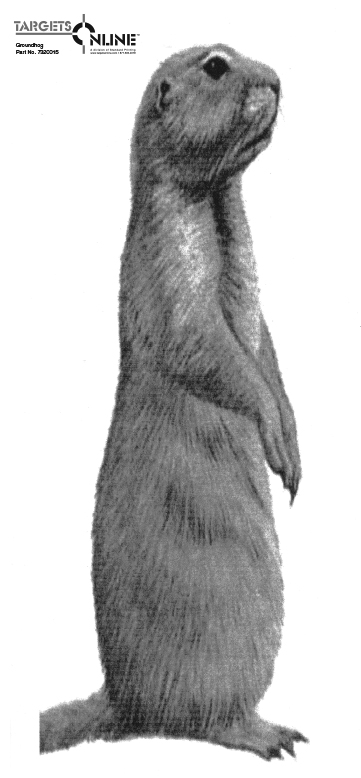 Groundhog Groundhog